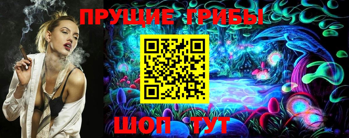 Алатырь  Галлюциногенные грибы Psilocybine cubensis  Псилоцибиновые грибы Psilocybe  Вход с VPN 